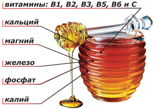 Хімічний склад меду